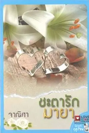 ปกนิยาย