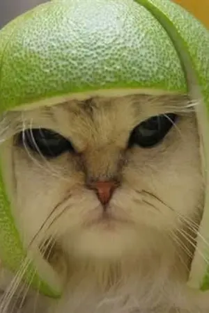 ปกนิยาย My Bear and Only FEM;BAEKHYUN [CHANBAEK]