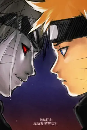 ปกนิยาย รวมฟิคNaRuTo