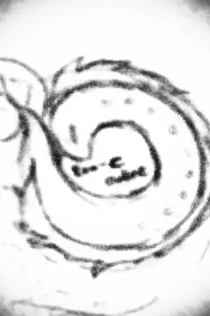 ปกนิยาย Era-C Online สงครามขาวดำ