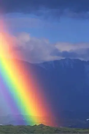 ปกนิยาย รักไม่เลือก