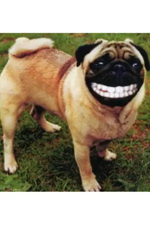 ปกนิยาย เพื่อนเกรียน... เพื่อนเรียน... เพื่อนรัก