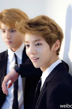 ปกนิยาย [EXO] Hidden Melody เพลงนี้...ขอฟังอีกทีได้ไหม? (KrisHan)