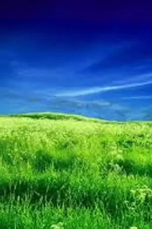 ปกนิยาย Mariage D'amour the Piano