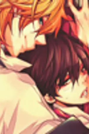 ปกนิยาย Sale Novel ขายนิยายแจ่มใสสภาพดี