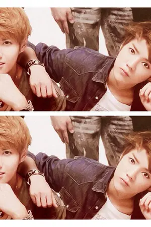 ปกนิยาย M O D E L {KRISHAN}