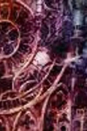 ปกนิยาย [◈‧| Elysia State |‧◈]