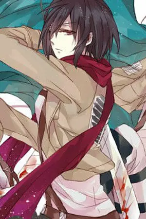 ปกนิยาย Attack on titan (รีไวล์xมิคาสะxเอเลน) Warning your heart