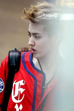 ปกนิยาย เนื้อเพลง Every Single Day - Echo