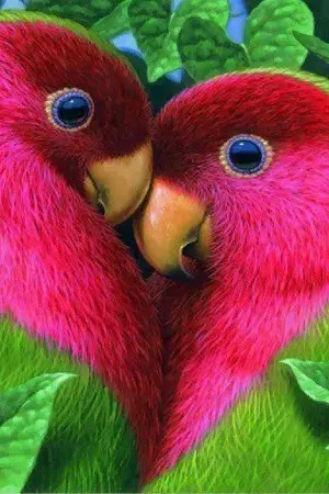 ปกนิยาย ยอดยุทธ์ปาฏิหาริย์