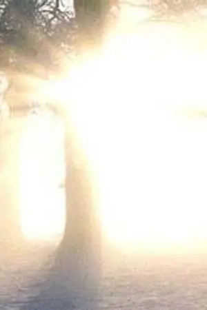 ปกนิยาย การเดินทางของเทพบุตรแห่งรุ่งอรุณ