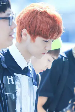 ปกนิยาย [FIC] EXO: MY LOVELY TOY :: KRISHAN