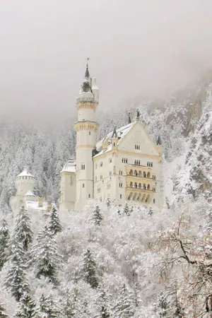 ปกนิยาย The Knight Prince ขอพิทักษ์หัวใจเธอ