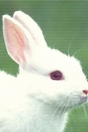 ปกนิยาย I Love You So รักตัวโตๆ แด่คุณฮีโร่ของฉัน [รีไรท์][สนพ. แจ่มใส มิ.ย.56]