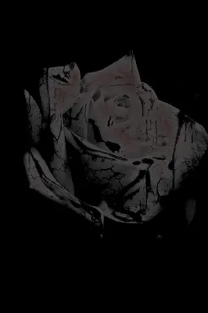 ปกนิยาย [B1A4] 3 Days Baro x Jinyoung