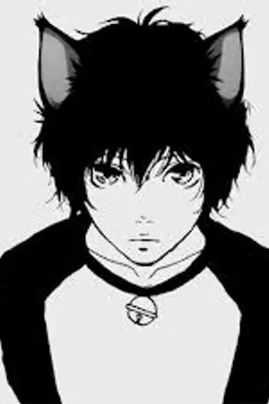 ปกนิยาย เหมียวฮาเล็ม