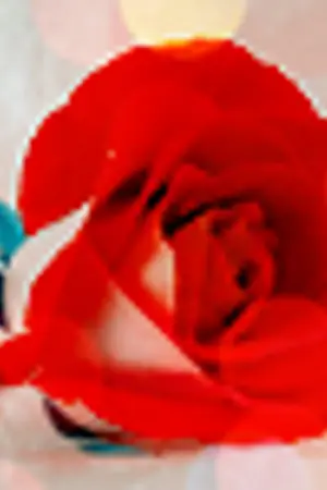 ปกนิยาย Baby before... ปรากฏการณ์ 'ท้อง' ก่อนแต่ง !