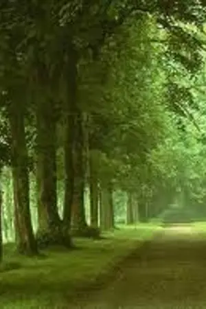 ปกนิยาย รักล่าเวมไพร์