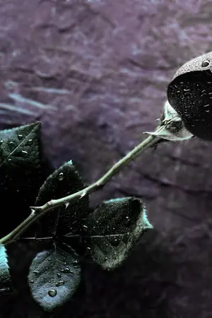 ปกนิยาย ไดไช บทเพลงสีเลือด ภาคลำนำเริ่มต้น