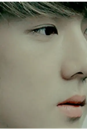 ปกนิยาย [EXO] = P L A Y E R =  THE LIGHT SIDE