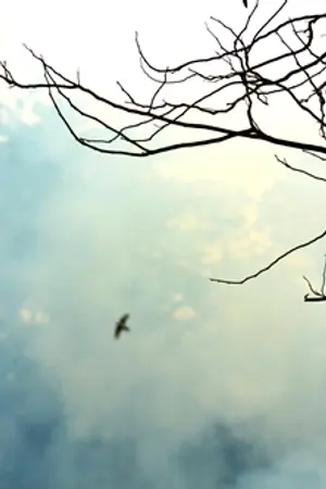 ปกนิยาย {Singular} ASTRICTION