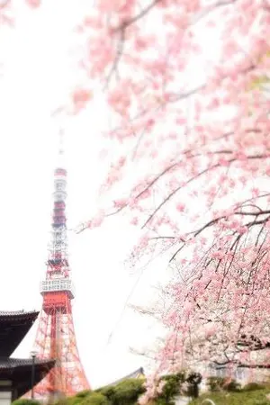 ปกนิยาย โตเกียวเกี้ยวรัก