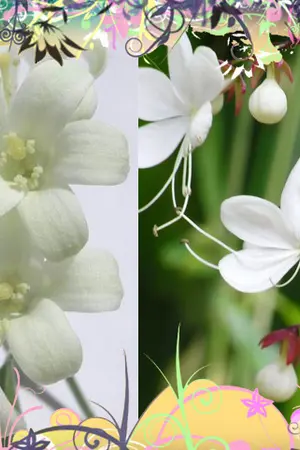 ปกนิยาย ดวงมาลย์ในกองเพลิง