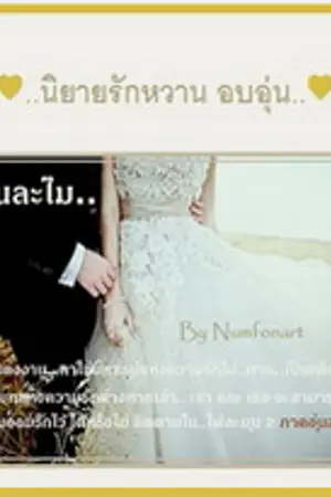 ปกนิยาย