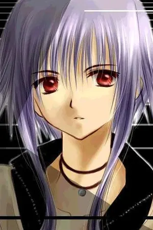 ปกนิยาย katana online