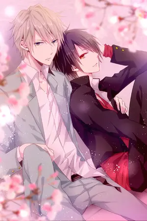 ปกนิยาย Vindictive cross [Drrr shizaya]