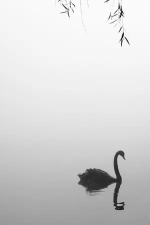 ปกนิยาย Love Stories