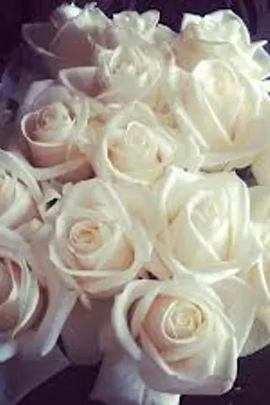 ปกนิยาย [FiC] Loveholic...ขีดเส้นรักลิขิตหัวใจ [Kyumin x Wonhyuk]