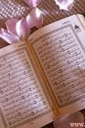 ปกนิยาย ความมหัศจรรย์ของคัมภีร์อัลกุรอาน