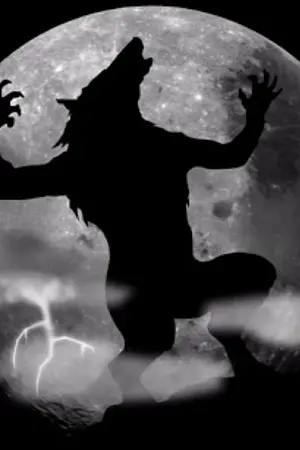 ปกนิยาย [Fic] (EXO x SNSD) Fight love