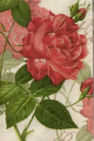 ปกนิยาย กราเวนด้า