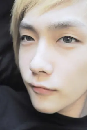 ปกนิยาย The Bothersome วุ่นวายนัก.....รักซะเลย