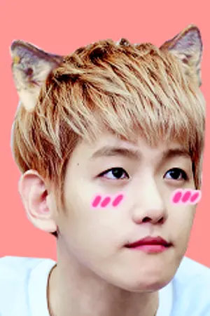 ปกนิยาย [FIC EXO] My Do Kyungsoo