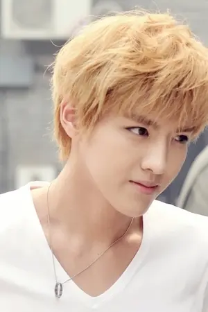 ปกนิยาย {snsd+exo}Long awaited [KrisYoon] มาย แองเจิล.. นางฟ้าของผม 70%