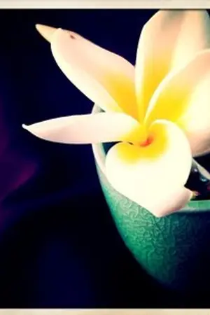 ปกนิยาย นิรันดร์ :: [Yaoi]