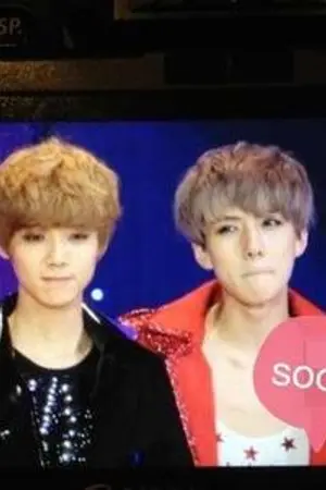 ปกนิยาย - รัก แก้ บน !! - Make a votive offering LOVE !! [HunHan]