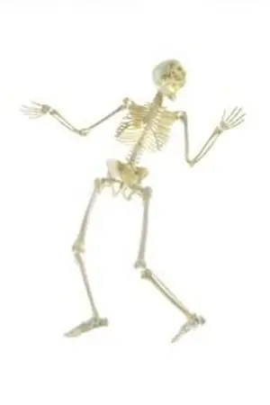 ปกนิยาย praisis online