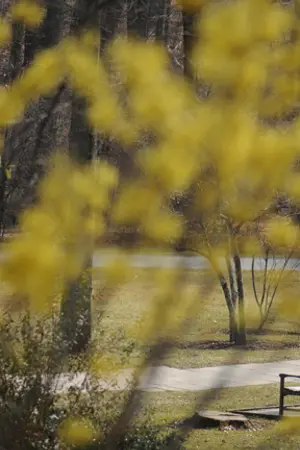 ปกนิยาย EXO .:: Witch Hazel ::. KrisHun ft.Chanyeol Luhan