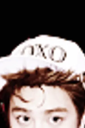 ปกนิยาย (exo) mickey mouse habit┇xiudo lukai ☁