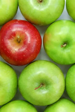 ปกนิยาย [EXO's Fiction] Unripe Apple || Sehun x Suho