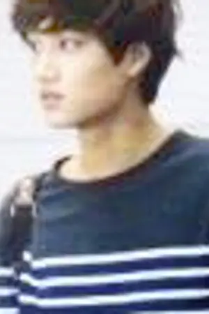 ปกนิยาย It's all Lies [EXO - Sekai or KaiHun]