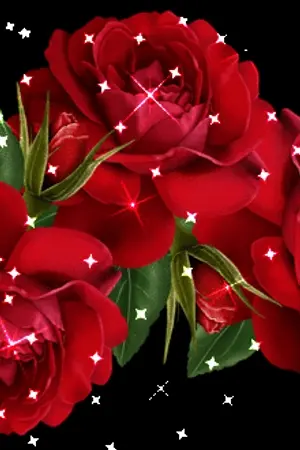 ปกนิยาย คือเธอทุกสิ่ง (Anything...is you)