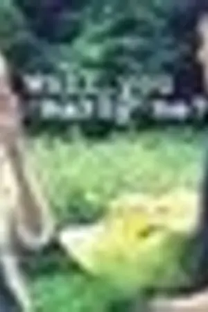 ปกนิยาย Plz wait me [C.A.PxL.JOE] TeenTop