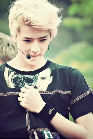 ปกนิยาย 【Fic EXO】Passionate Love { HunHan Krystal f(x) ft.EXO}