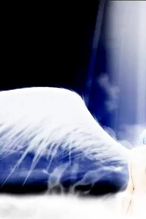 ปกนิยาย [EXO]Angel