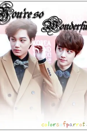 ปกนิยาย [EXO Kaisoo] You're so wonderful